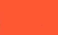 Westwood Originalfarbton orange 1 Liter