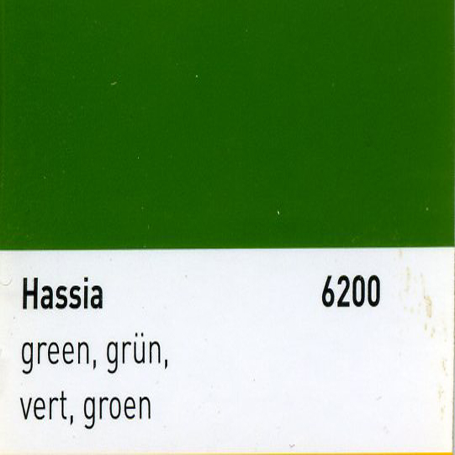 Hassia Farbe grün 1 Liter Originalfarbton